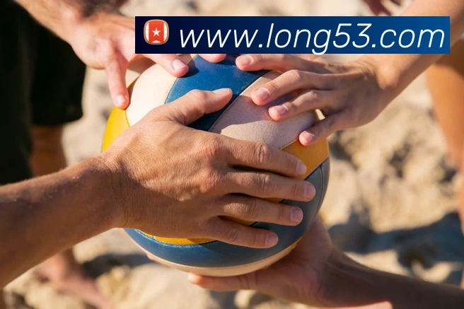龙8-long8(国际)官方网站APP 封面图